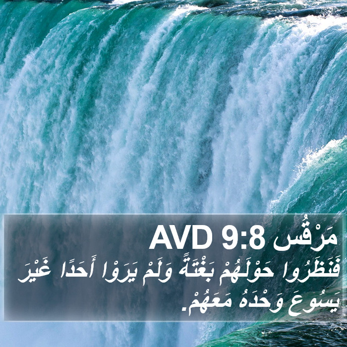 مَرْقُس 9:8 AVD Bible Study