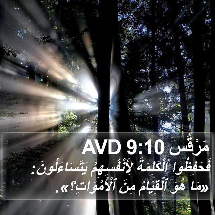 مَرْقُس 9:10 AVD Bible Study