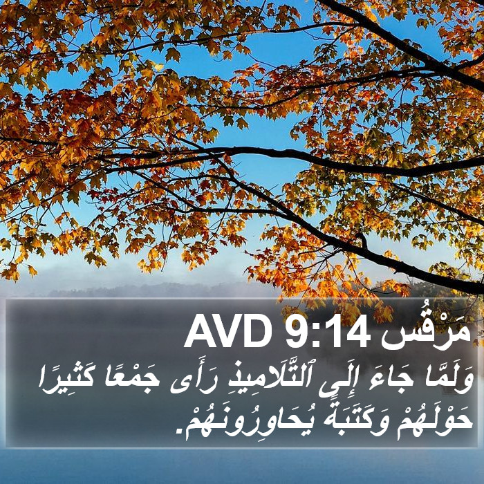 مَرْقُس 9:14 AVD Bible Study