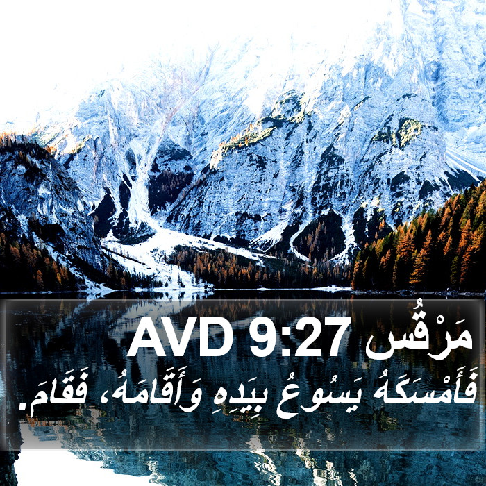 مَرْقُس 9:27 AVD Bible Study