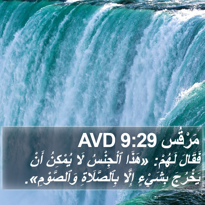 مَرْقُس 9:29 AVD Bible Study