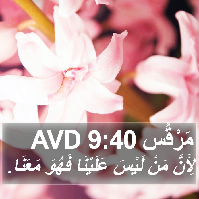 مَرْقُس 9:40 AVD Bible Study