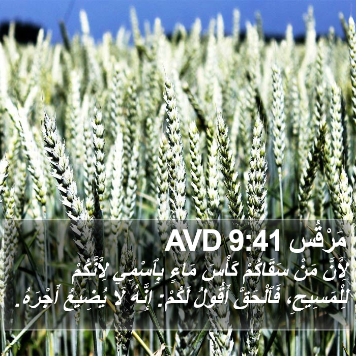 مَرْقُس 9:41 AVD Bible Study