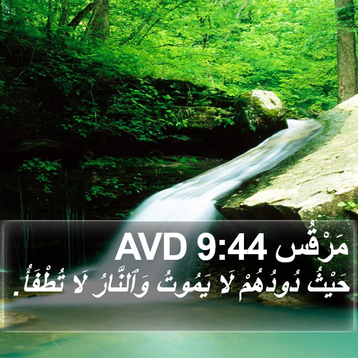 مَرْقُس 9:44 AVD Bible Study
