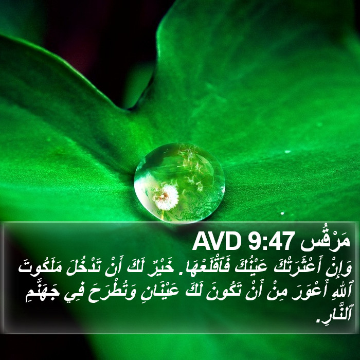 مَرْقُس 9:47 AVD Bible Study