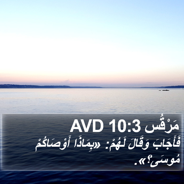 مَرْقُس 10:3 AVD Bible Study
