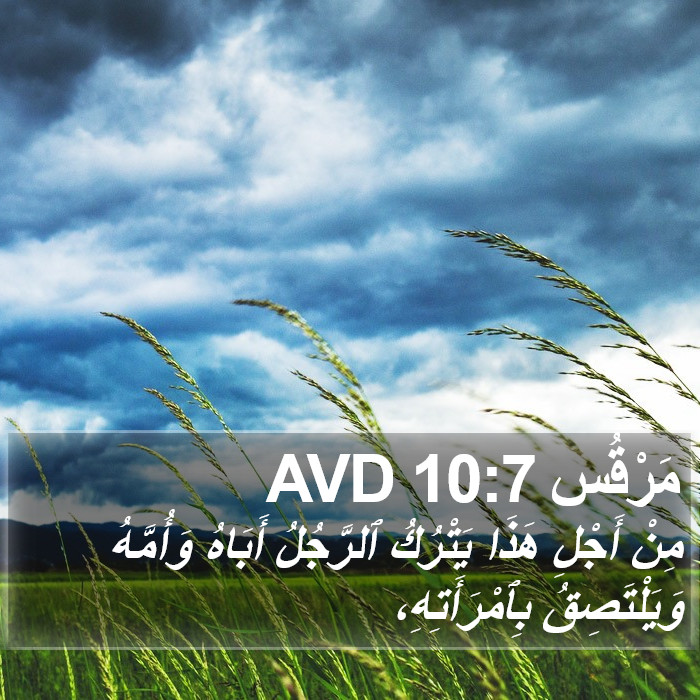 مَرْقُس 10:7 AVD Bible Study