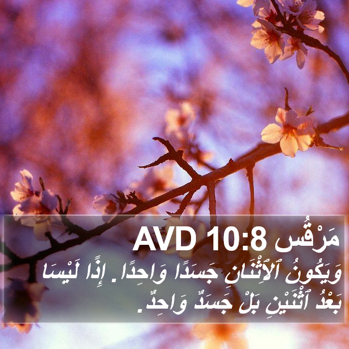 مَرْقُس 10:8 AVD Bible Study