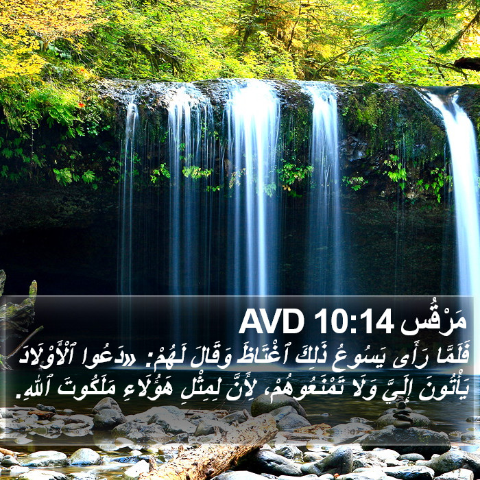 مَرْقُس 10:14 AVD Bible Study