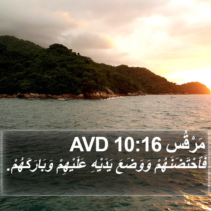 مَرْقُس 10:16 AVD Bible Study