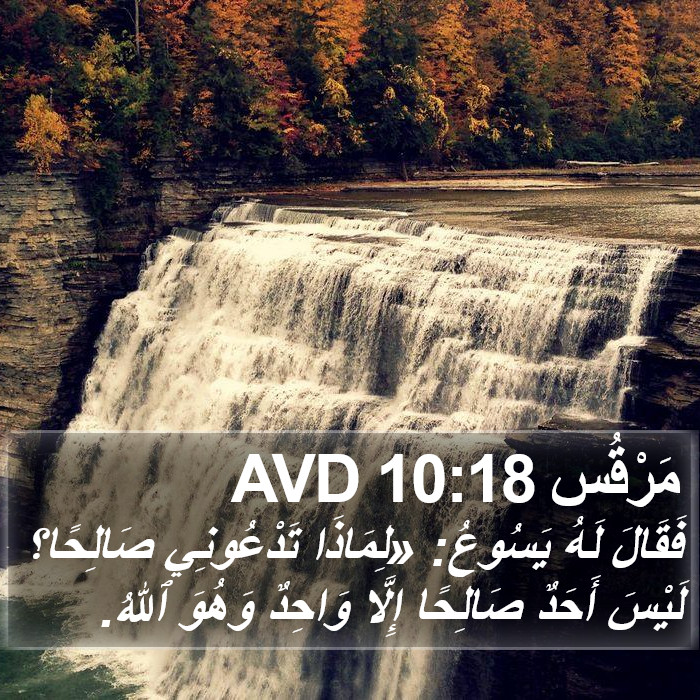 مَرْقُس 10:18 AVD Bible Study