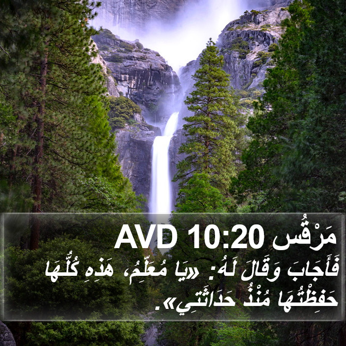 مَرْقُس 10:20 AVD Bible Study