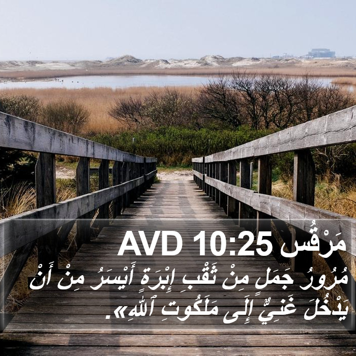 مَرْقُس 10:25 AVD Bible Study
