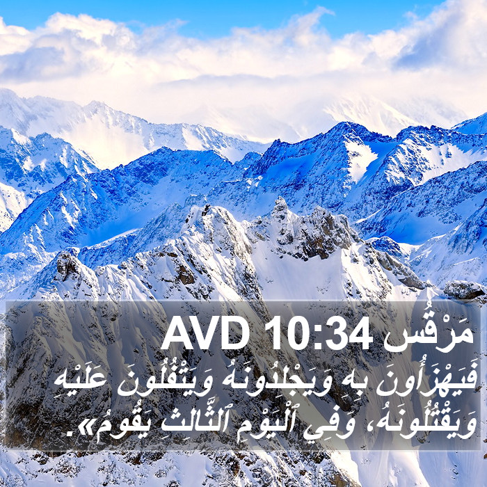 مَرْقُس 10:34 AVD Bible Study