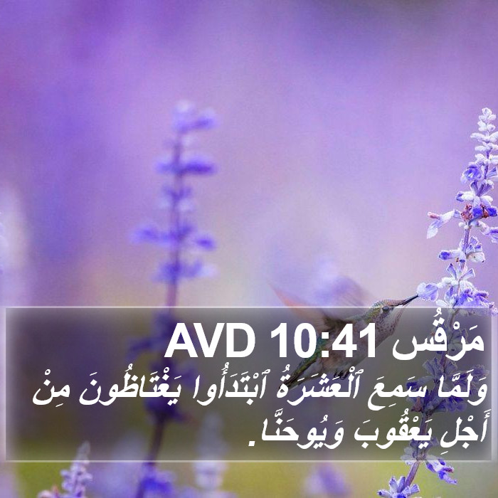 مَرْقُس 10:41 AVD Bible Study