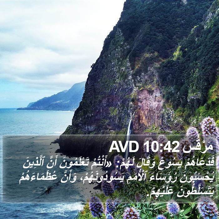 مَرْقُس 10:42 AVD Bible Study