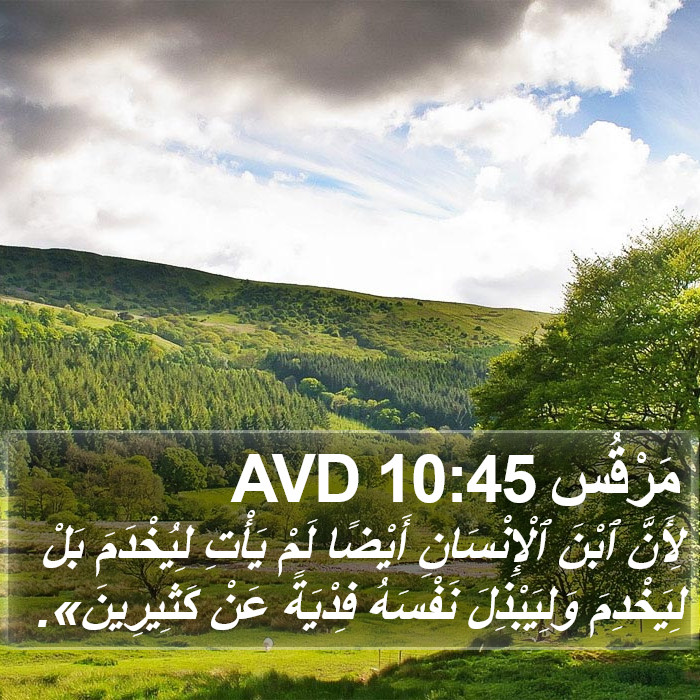 مَرْقُس 10:45 AVD Bible Study