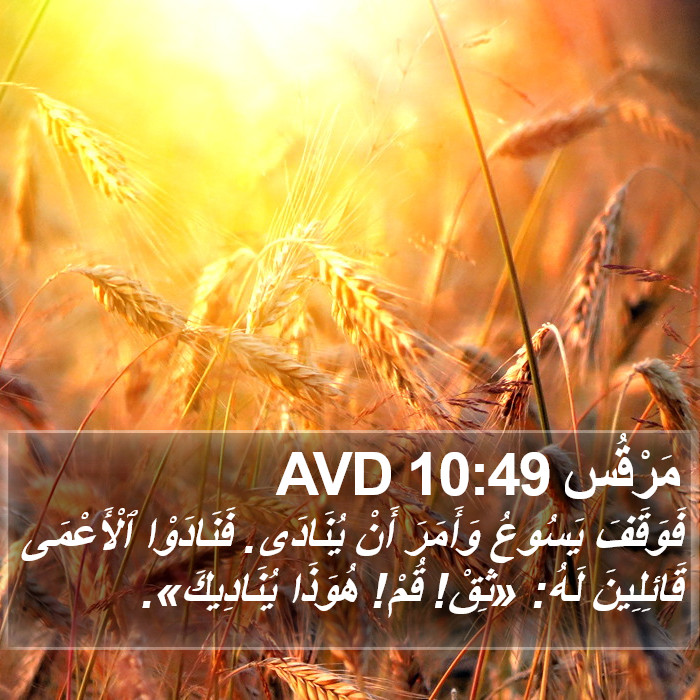 مَرْقُس 10:49 AVD Bible Study