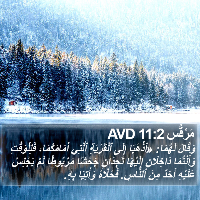 مَرْقُس 11:2 AVD Bible Study