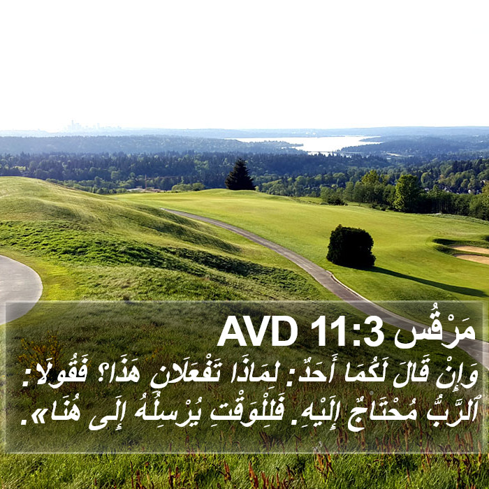 مَرْقُس 11:3 AVD Bible Study