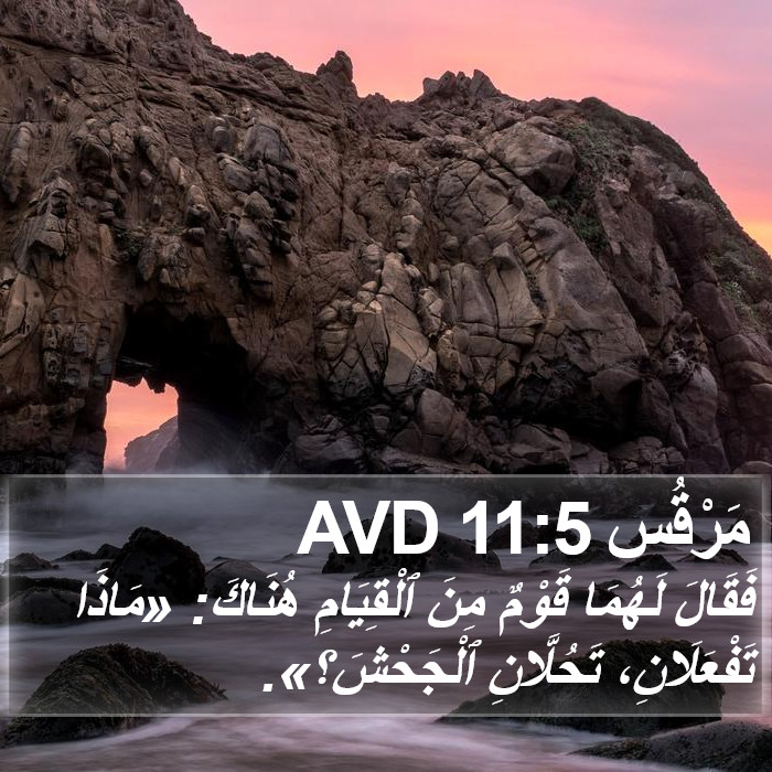 مَرْقُس 11:5 AVD Bible Study