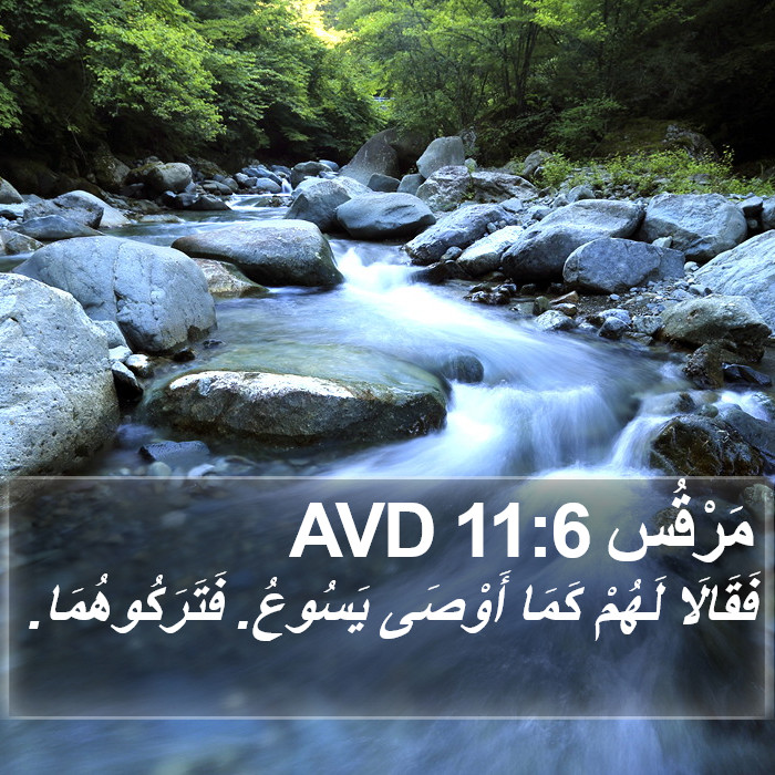 مَرْقُس 11:6 AVD Bible Study
