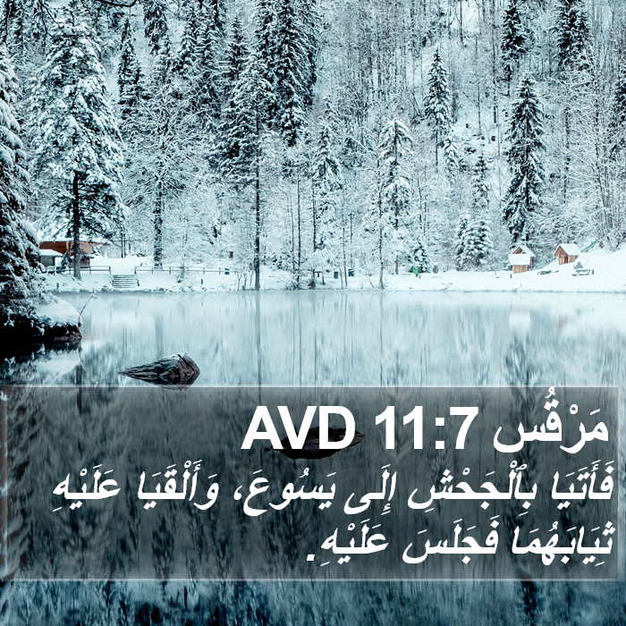 مَرْقُس 11:7 AVD Bible Study