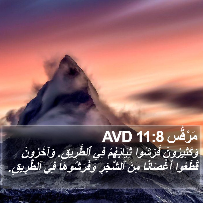 مَرْقُس 11:8 AVD Bible Study