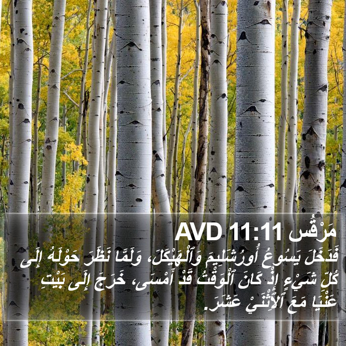 مَرْقُس 11:11 AVD Bible Study