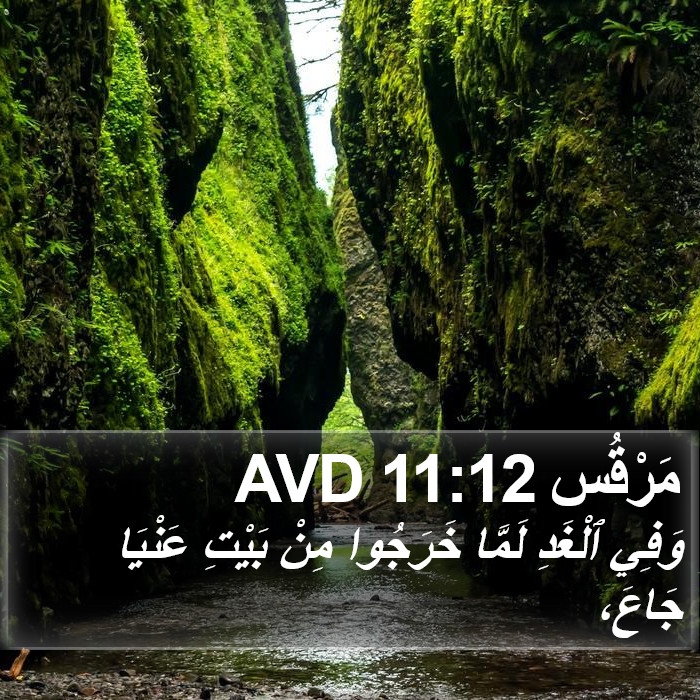 مَرْقُس 11:12 AVD Bible Study