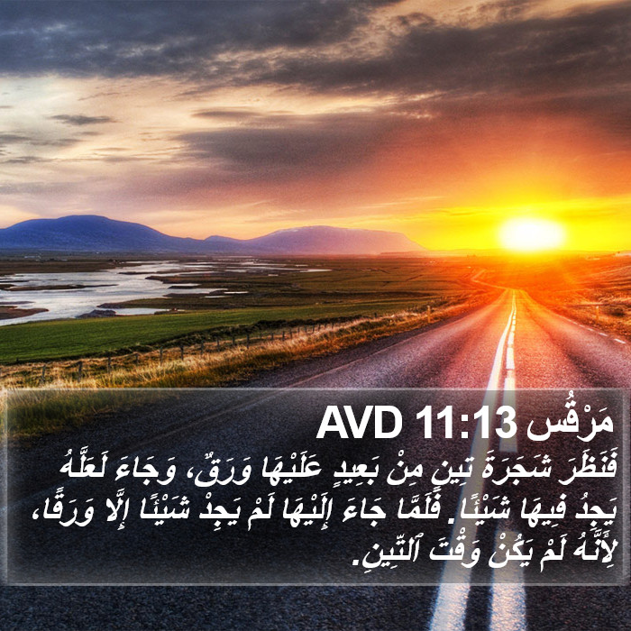 مَرْقُس 11:13 AVD Bible Study