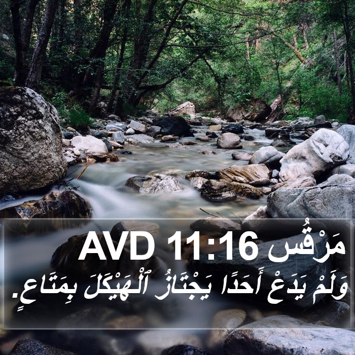 مَرْقُس 11:16 AVD Bible Study
