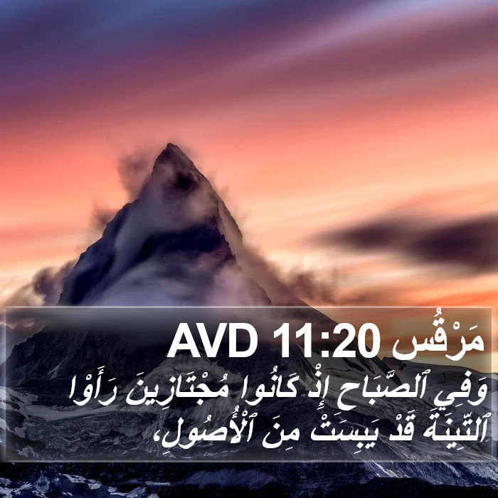 مَرْقُس 11:20 AVD Bible Study