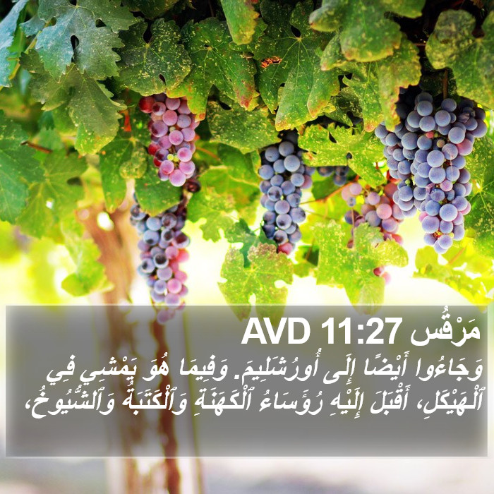 مَرْقُس 11:27 AVD Bible Study