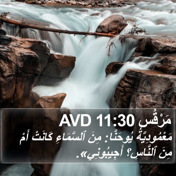 مَرْقُس 11:30 AVD Bible Study