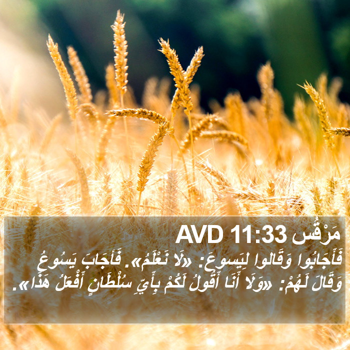 مَرْقُس 11:33 AVD Bible Study