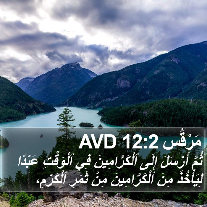 مَرْقُس 12:2 AVD Bible Study