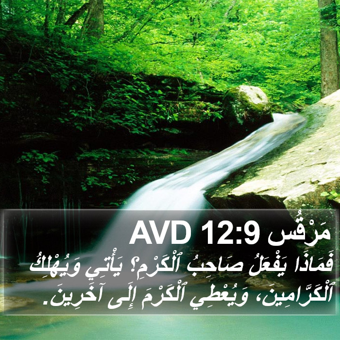 مَرْقُس 12:9 AVD Bible Study