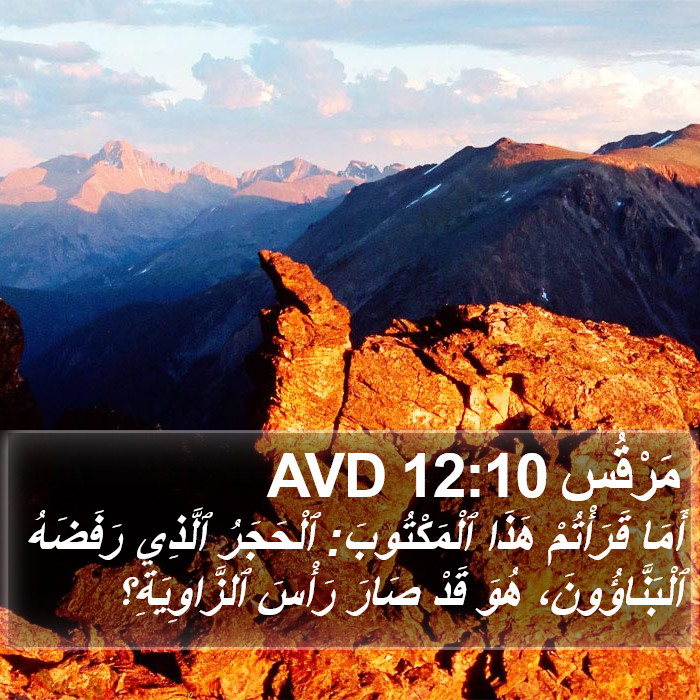 مَرْقُس 12:10 AVD Bible Study