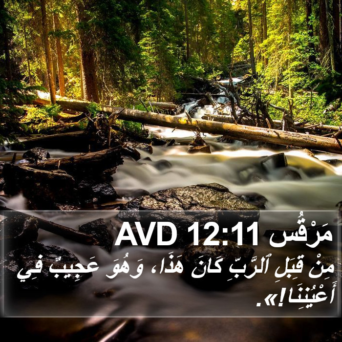 مَرْقُس 12:11 AVD Bible Study