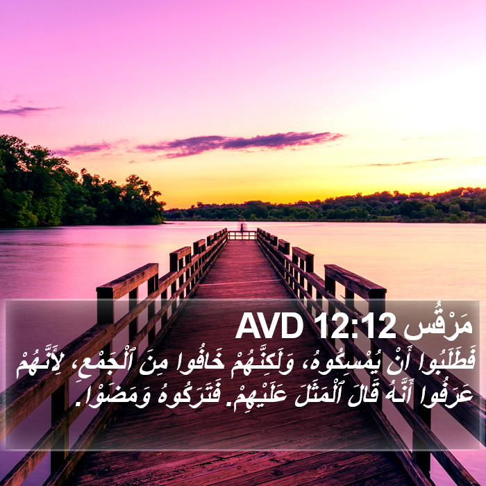 مَرْقُس 12:12 AVD Bible Study