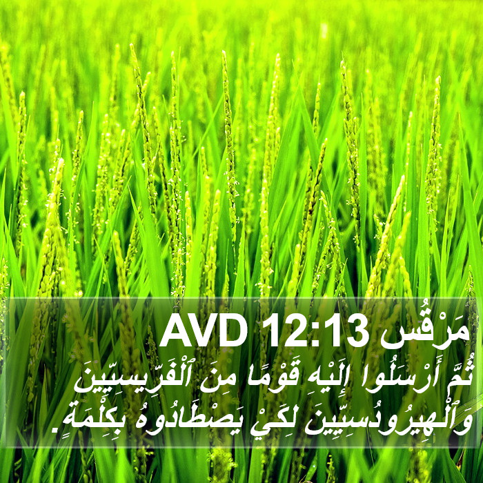 مَرْقُس 12:13 AVD Bible Study