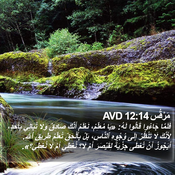 مَرْقُس 12:14 AVD Bible Study