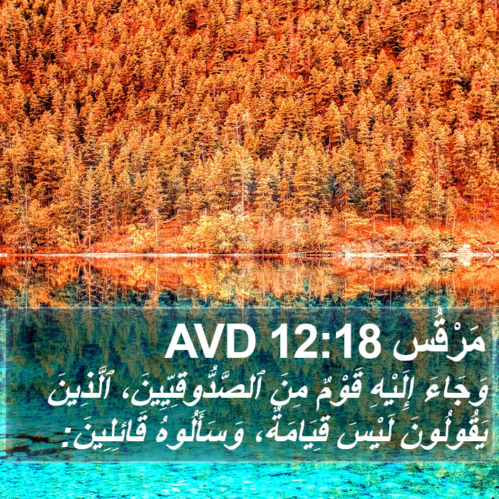 مَرْقُس 12:18 AVD Bible Study