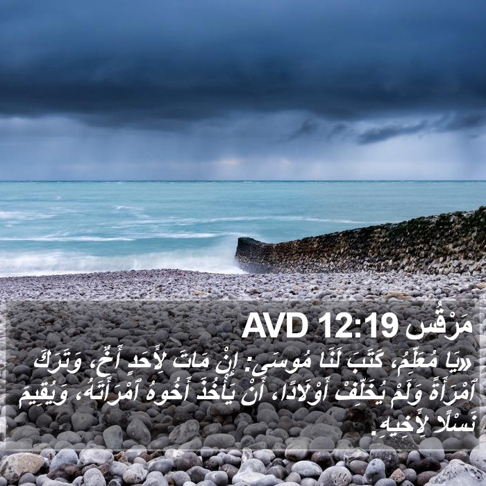 مَرْقُس 12:19 AVD Bible Study