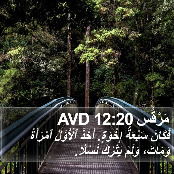 مَرْقُس 12:20 AVD Bible Study