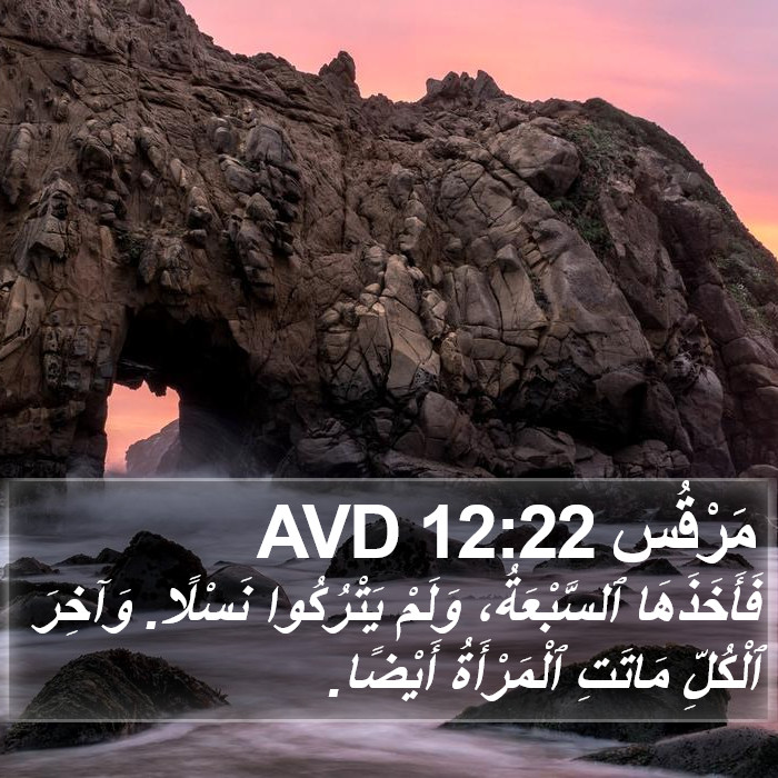 مَرْقُس 12:22 AVD Bible Study