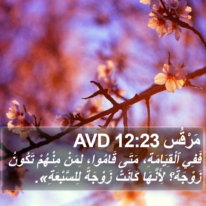 مَرْقُس 12:23 AVD Bible Study