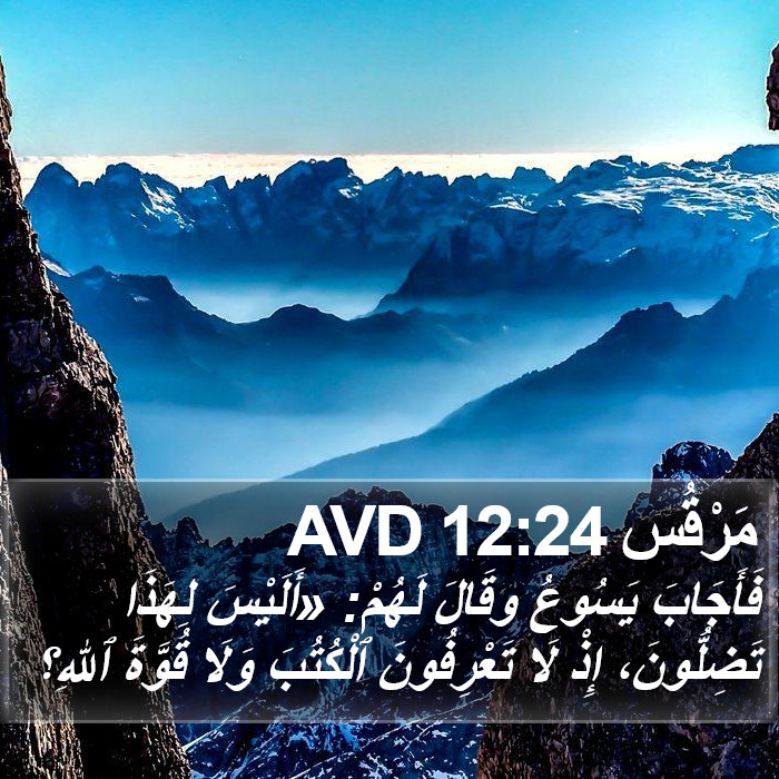 مَرْقُس 12:24 AVD Bible Study