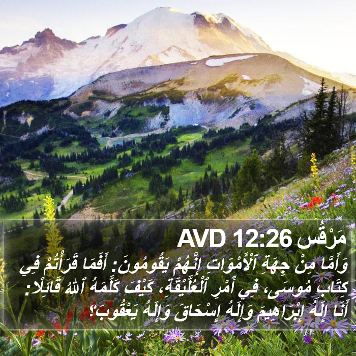 مَرْقُس 12:26 AVD Bible Study